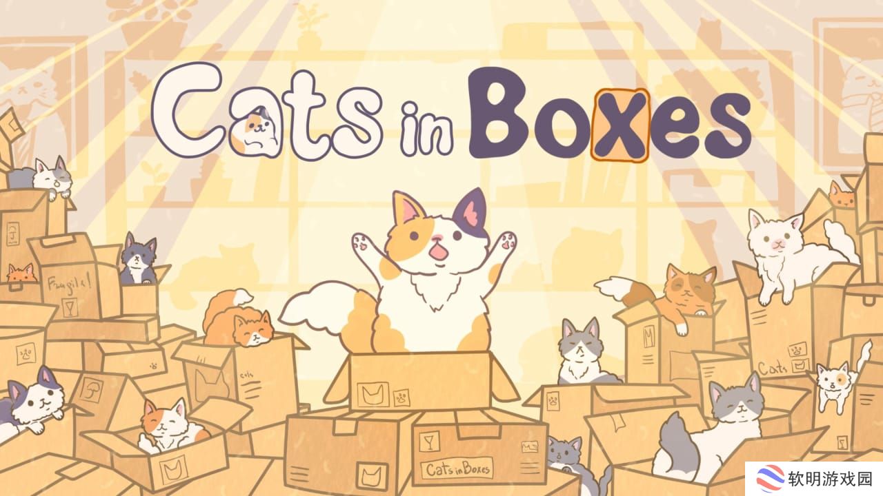 盒中猫丨Cats in Boxes_0